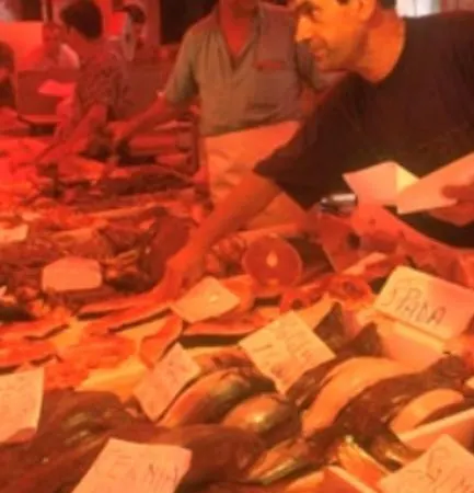 Lejlighed Casa Norma Sottomarina